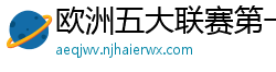 欧洲五大联赛第一个六冠王